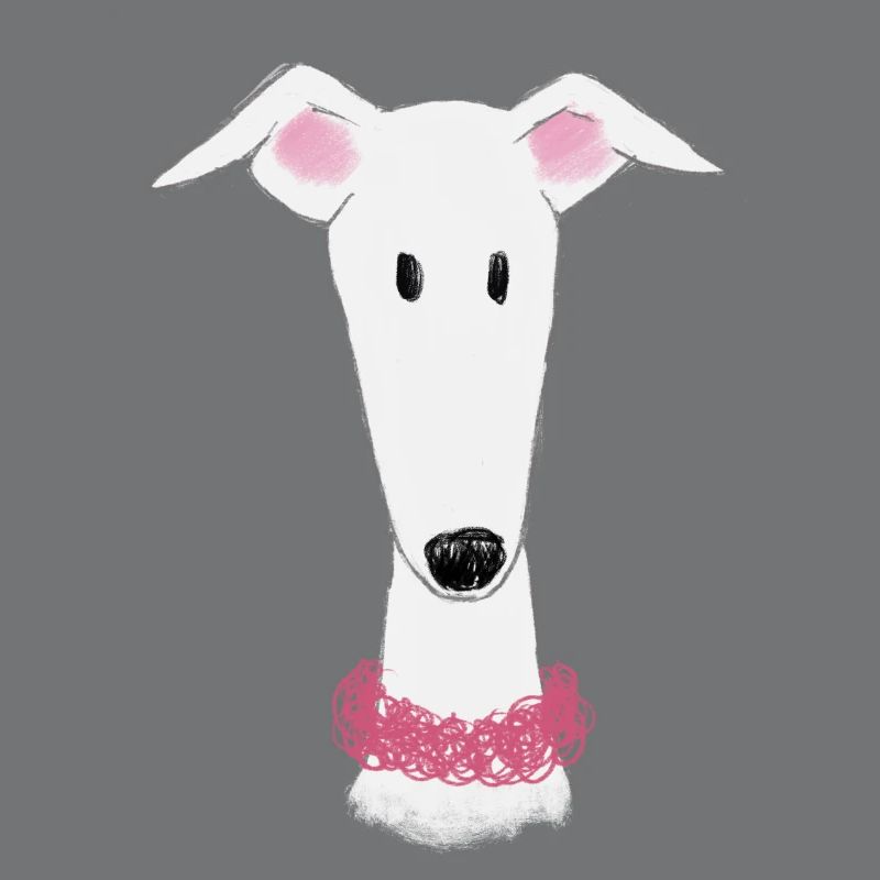 Greyhound with collar