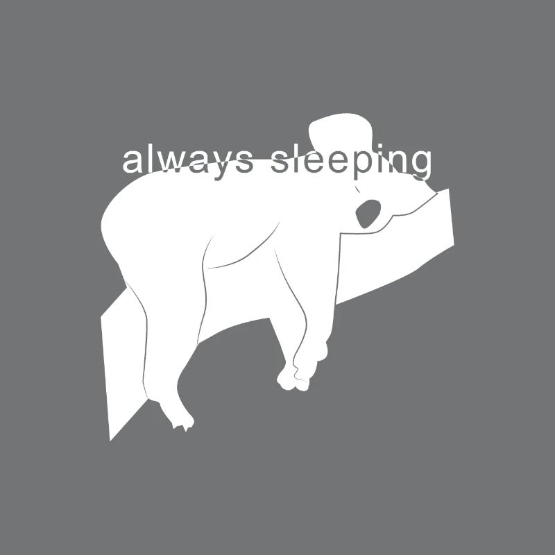 always sleeping gift / sleeping