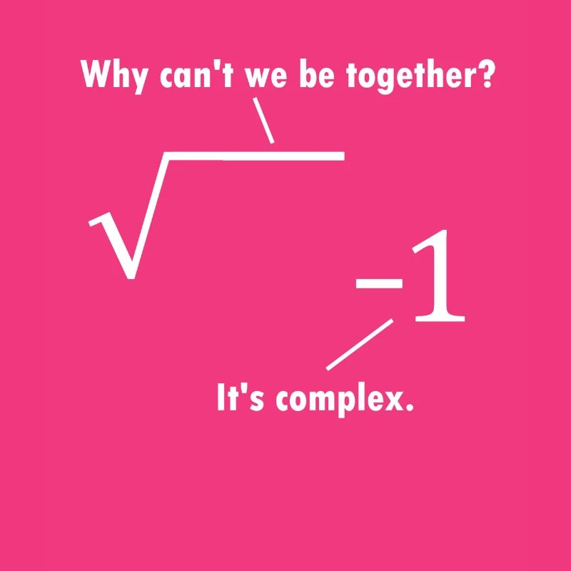 Math joke mathematician gift nerd teacher
