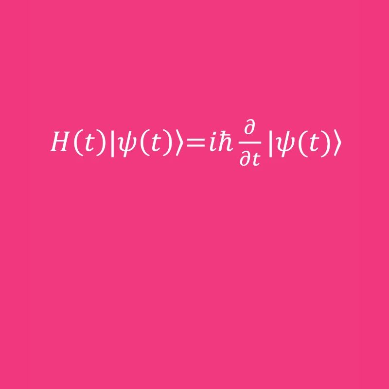 Schrödinger Equation Physicist Gift Physics