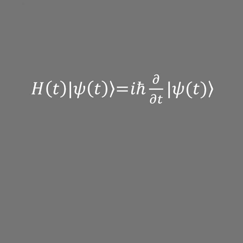 Schrödinger Equation Physicist Gift Physics