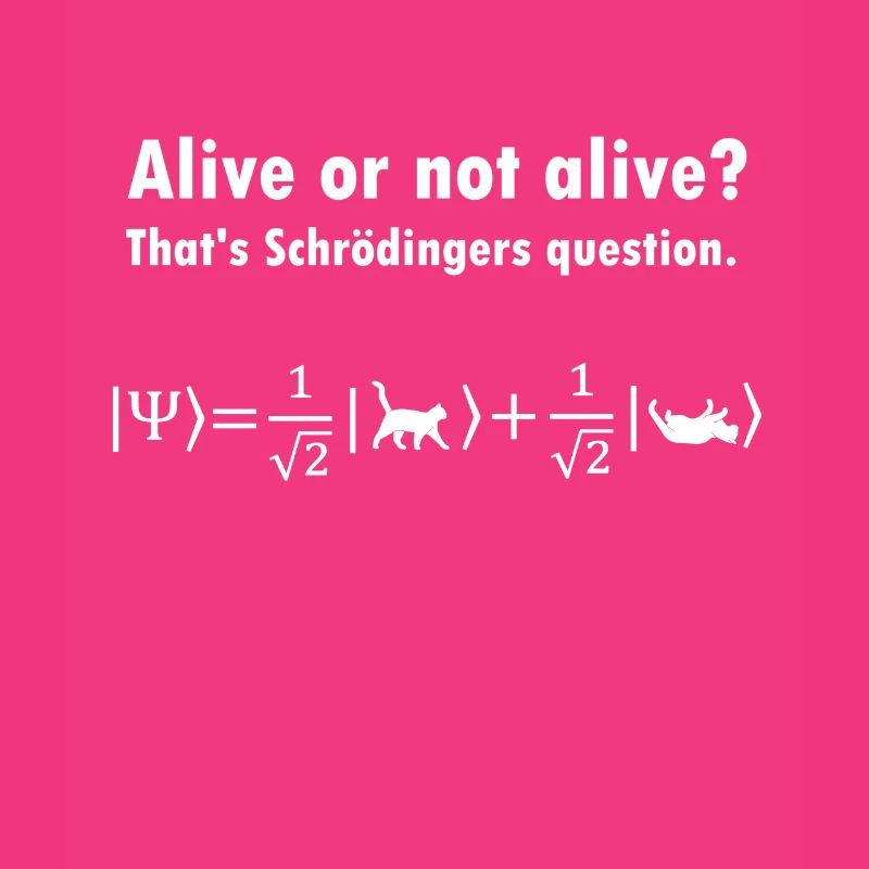 Schrödinger's Cat - Physicist Gift Physics Nerd