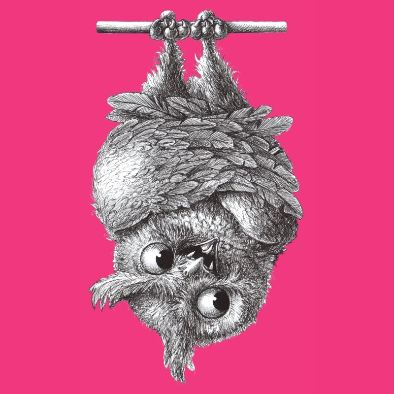 Vampir Eule - Dracula Eule