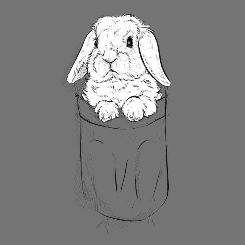 Ram Rabbit in Bag