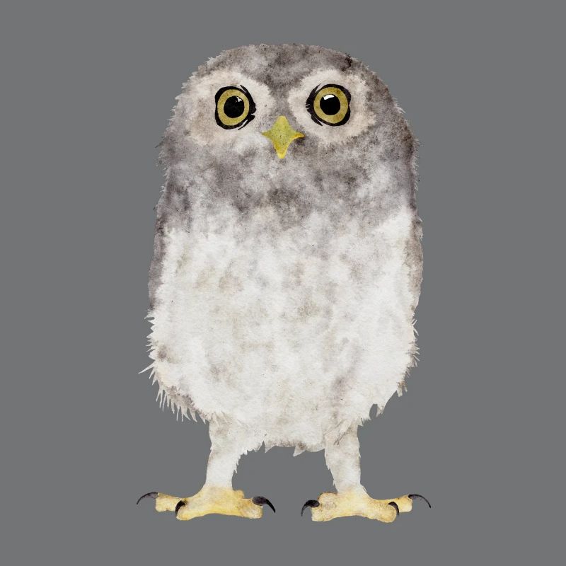 Eule