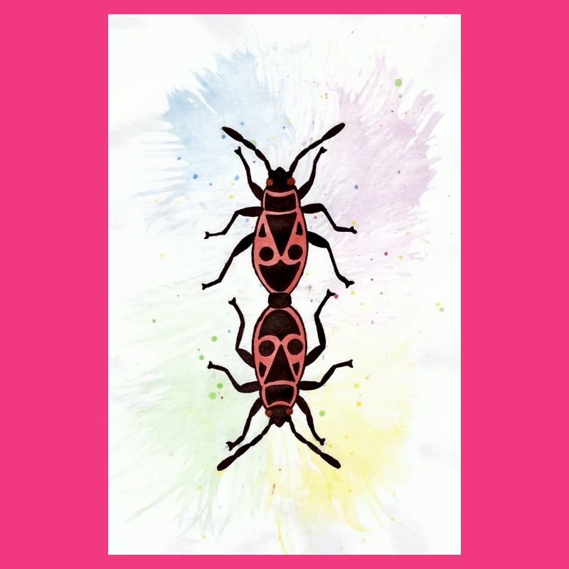 Firebugs