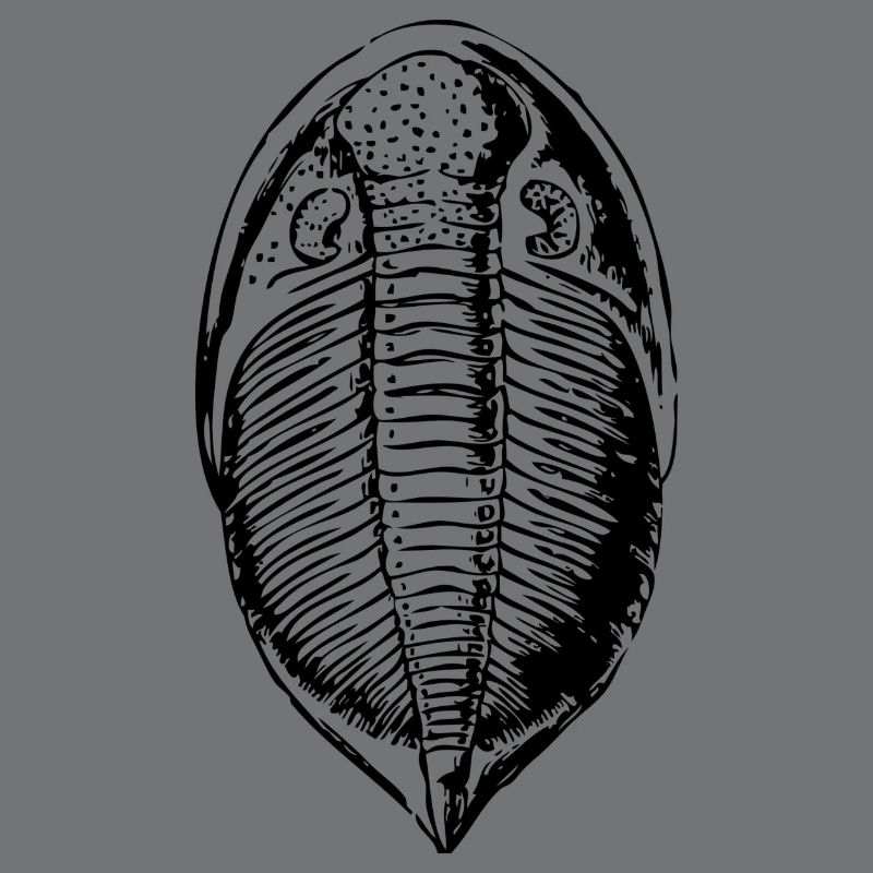 Fossil