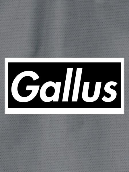 Gallus