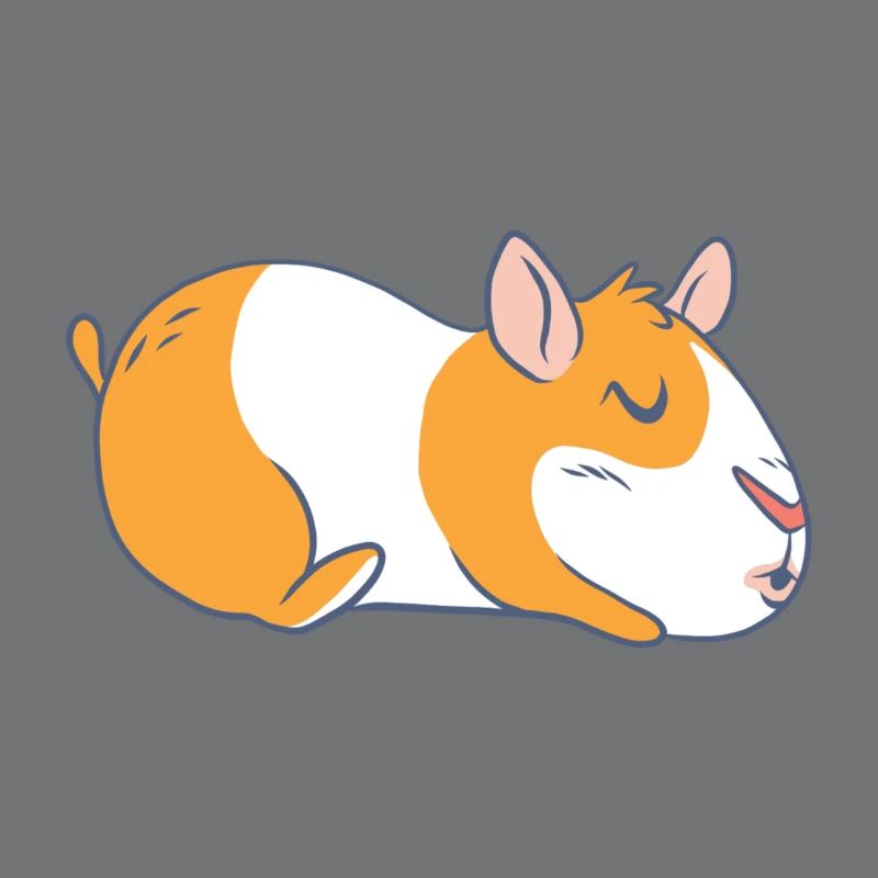 Cochon d'Inde cochon d'Inde