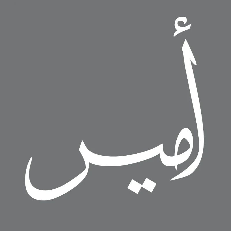 Amir Arabic Calligraphy First Name