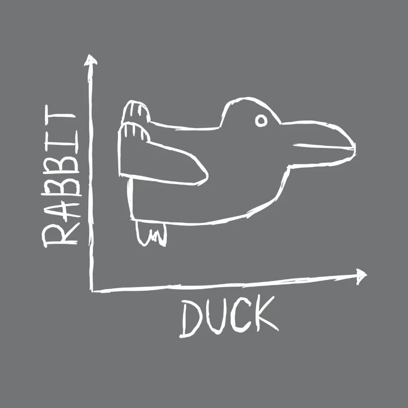 Rabbit Duck