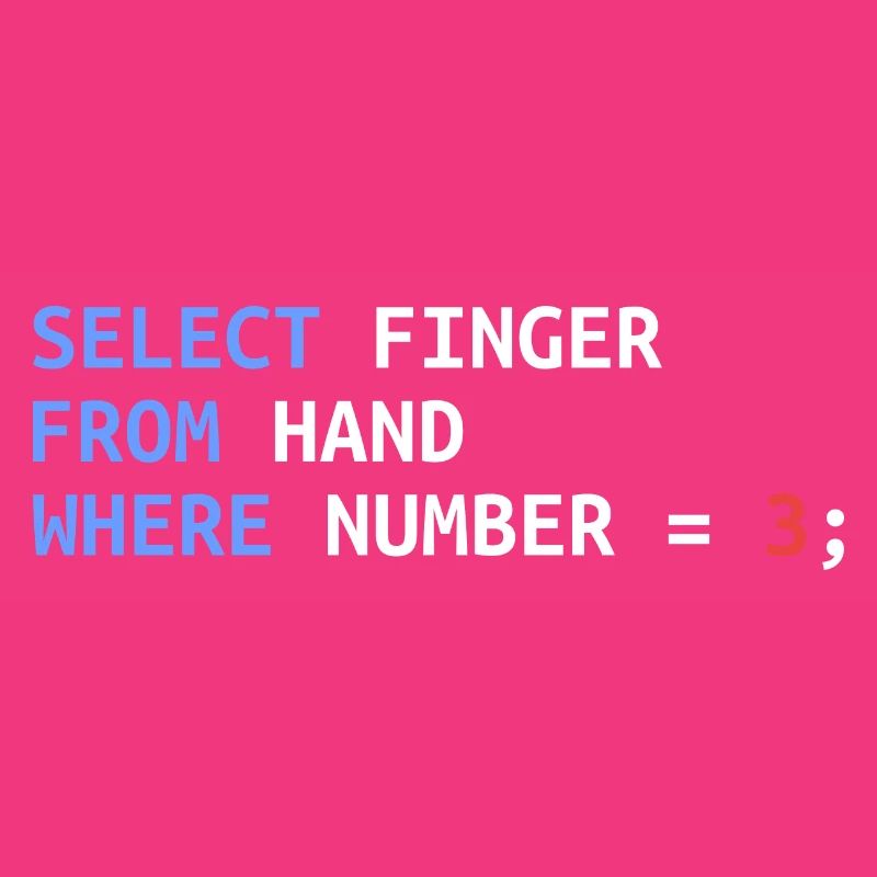 Mittelfinger Select SQL Entwickler Lustig Geschenk