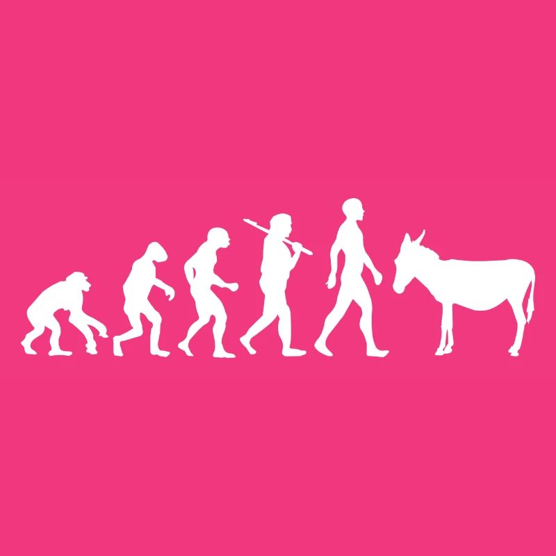 Evolution âne mule animal cadeau idée