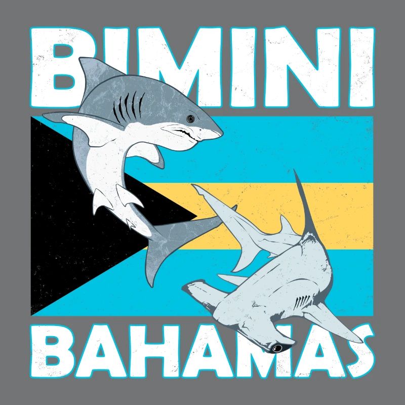 Bimini Bahamas flag