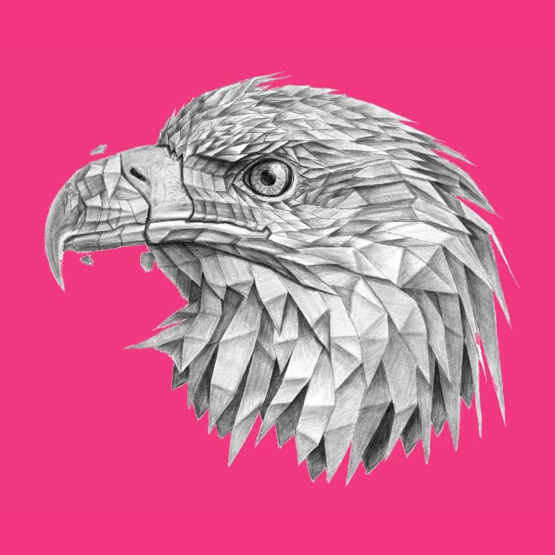 Adler