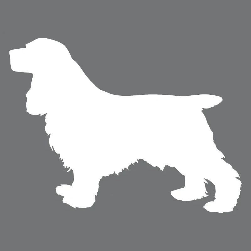 Cocker Spaniel