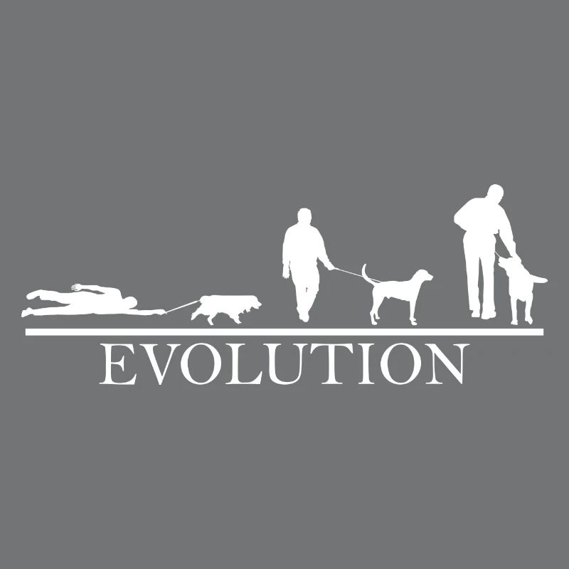 Evolution Promener chien