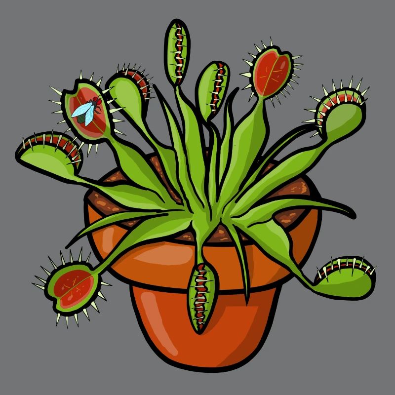 The Venus flytrap can count