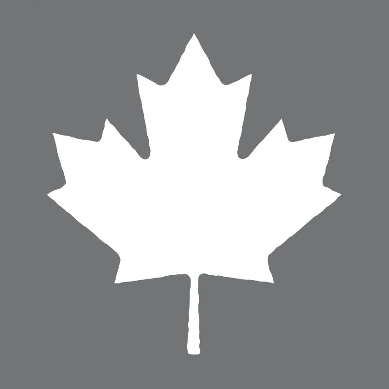 Maple maple leaf