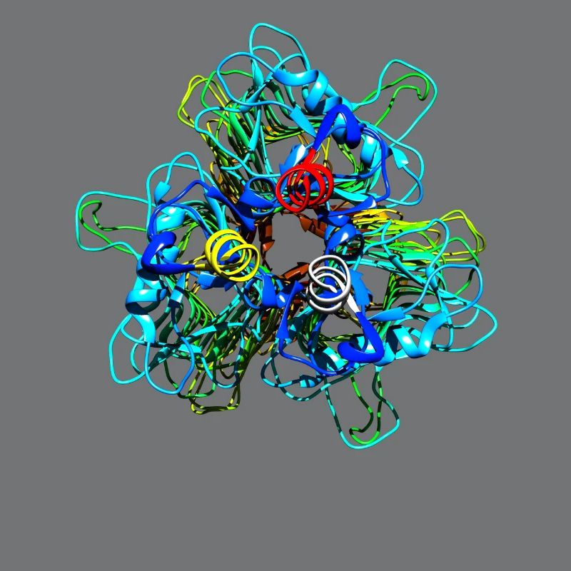 Native Tailspike Protein Molécule Bactériophage