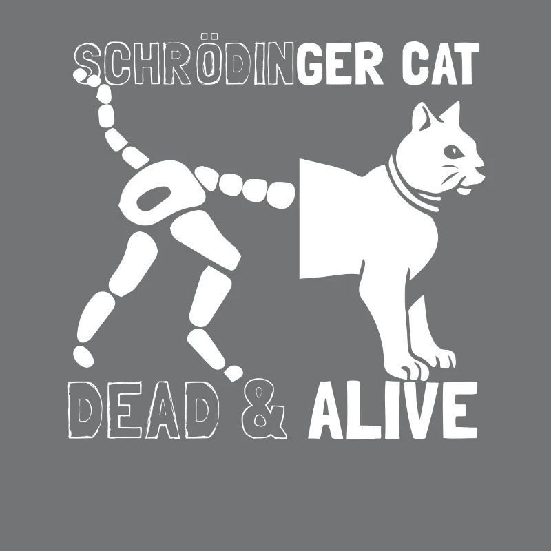 Schrödingers Katze tot oder lebendig