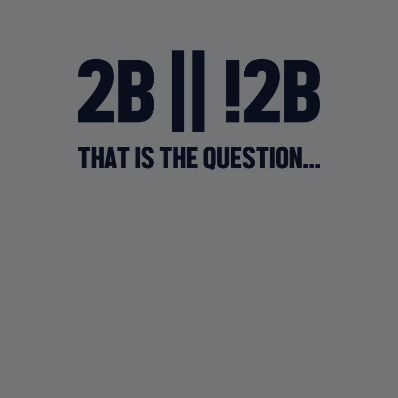 2B or not 2B Question Full Stack Coder Software