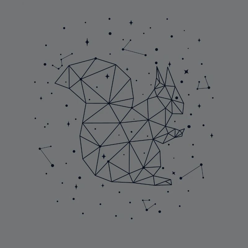 Constellation Squirrel Constellation Squirrel