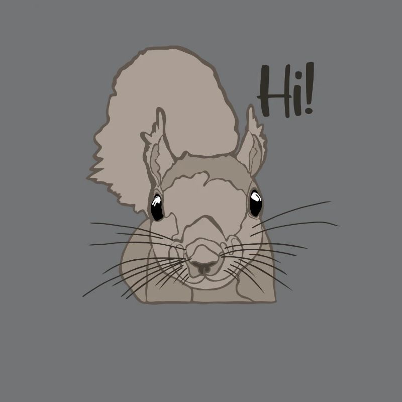 Grauhörnchen Squirrel Fuchshörnchen Eichhörnchen