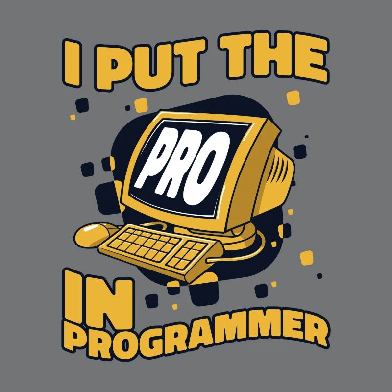 J’ai mis le pro dans Programmeur Developer Coder