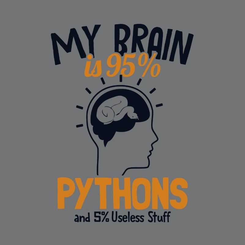 Mon cerveau est composé à 95% de pythons Python Snake Banana