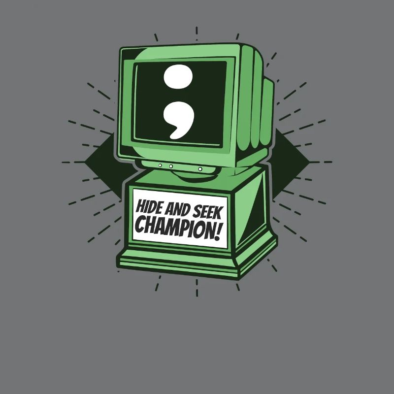 Hide And Seek Champion Software Engineer Coder