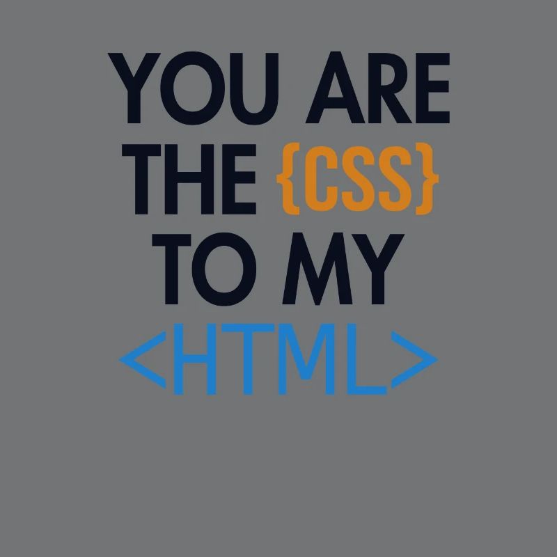 Vous êtes le CSS de mon HTML Developer Coder