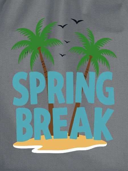 Spring Break Palmen Strand