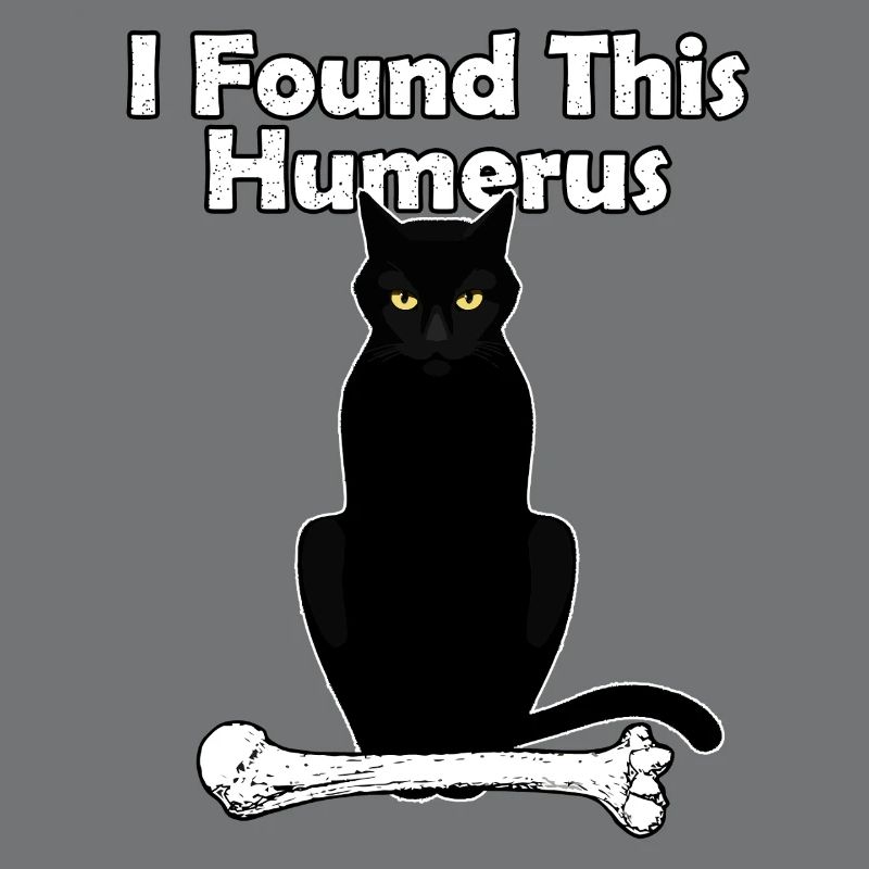 I Found This Humerus Cat