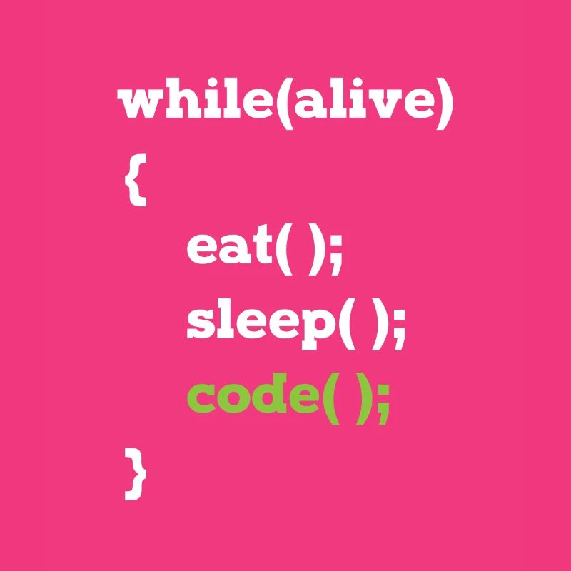 Programmeur Java en boucle informaticien