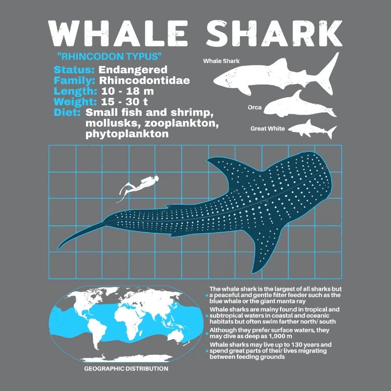 Whale Shark Datasheet
