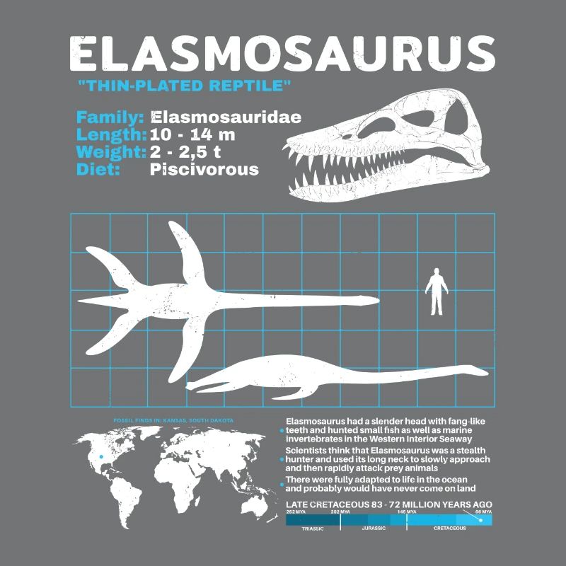 Fiche d’information sur Elasmosaurus