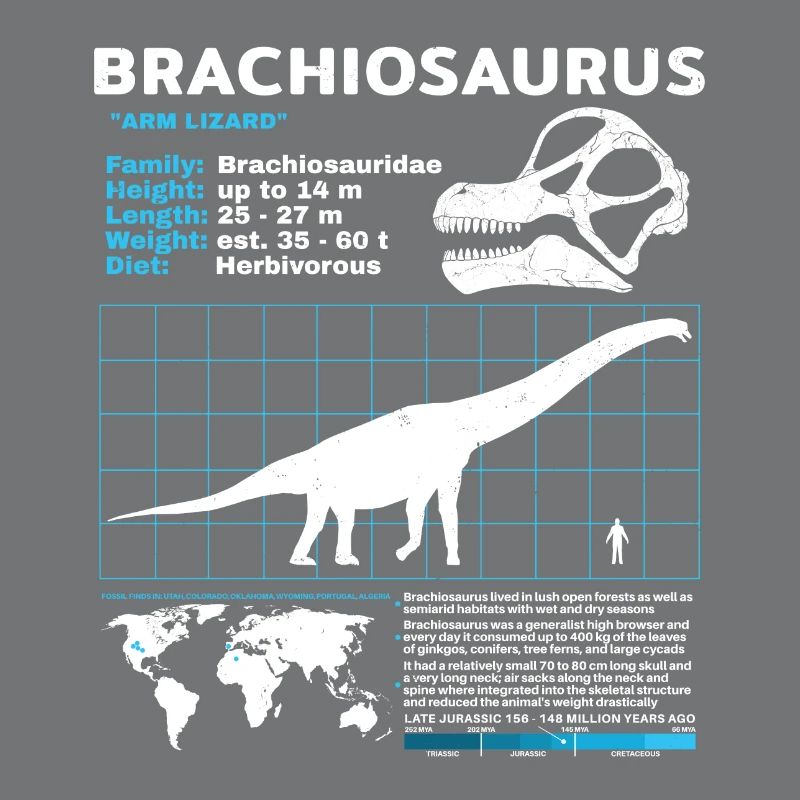 Fiche technique de Brachiosaurus