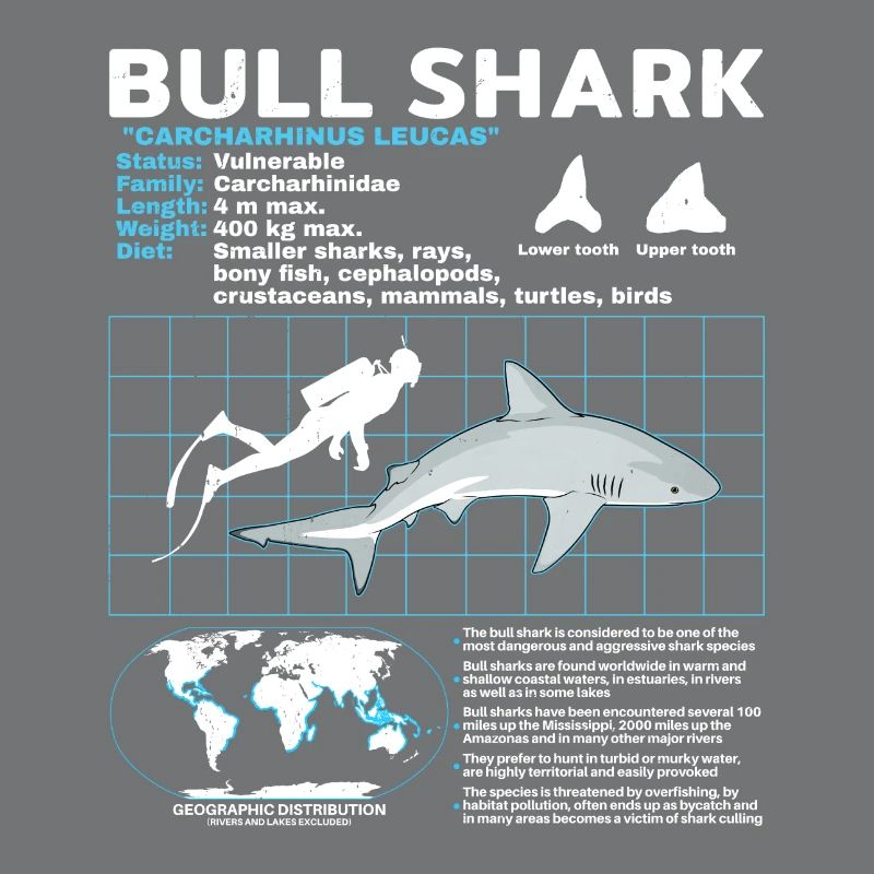 Bull Shark Data Sheet