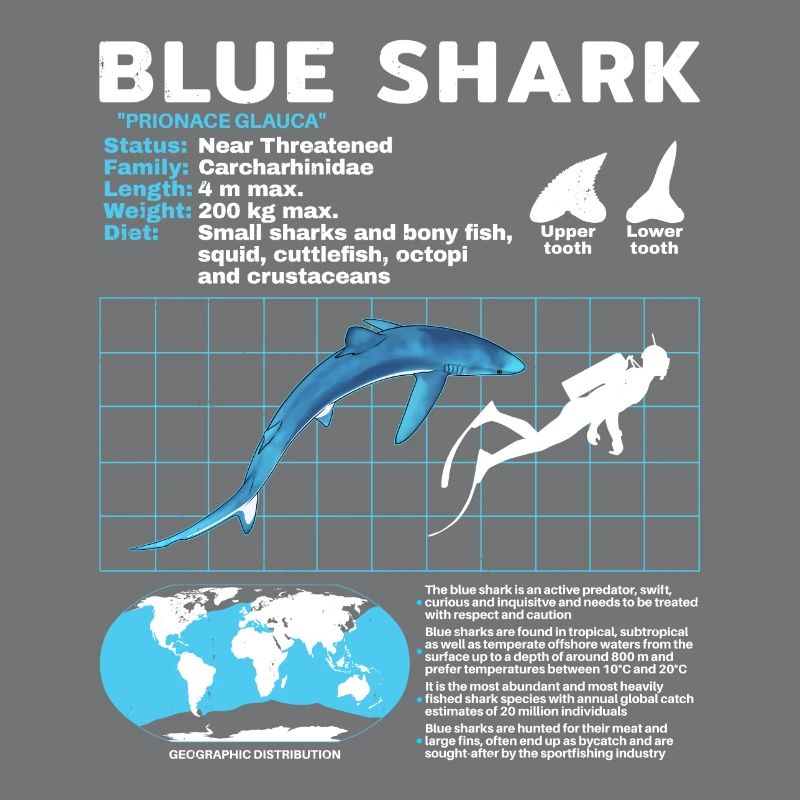 Fiche technique Blue Shark Fiche technique Fiche technique