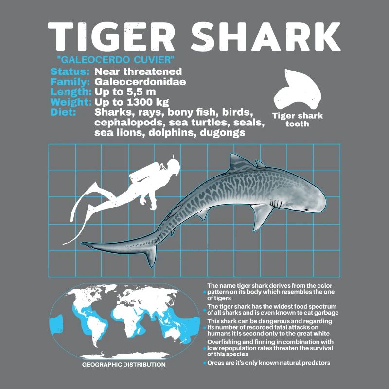 Tiger Shark Fact Sheet Datasheet