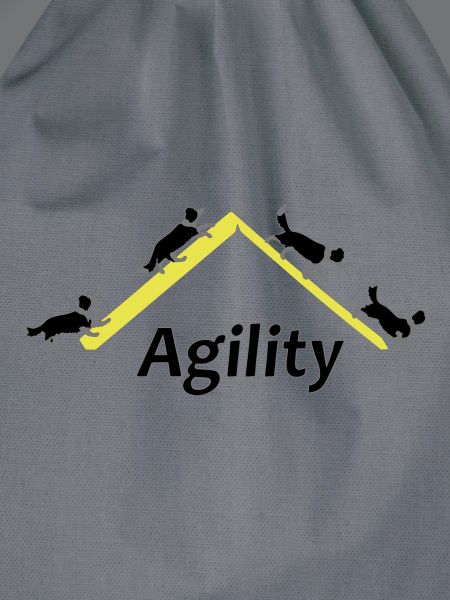 Agility 4x Border Collie