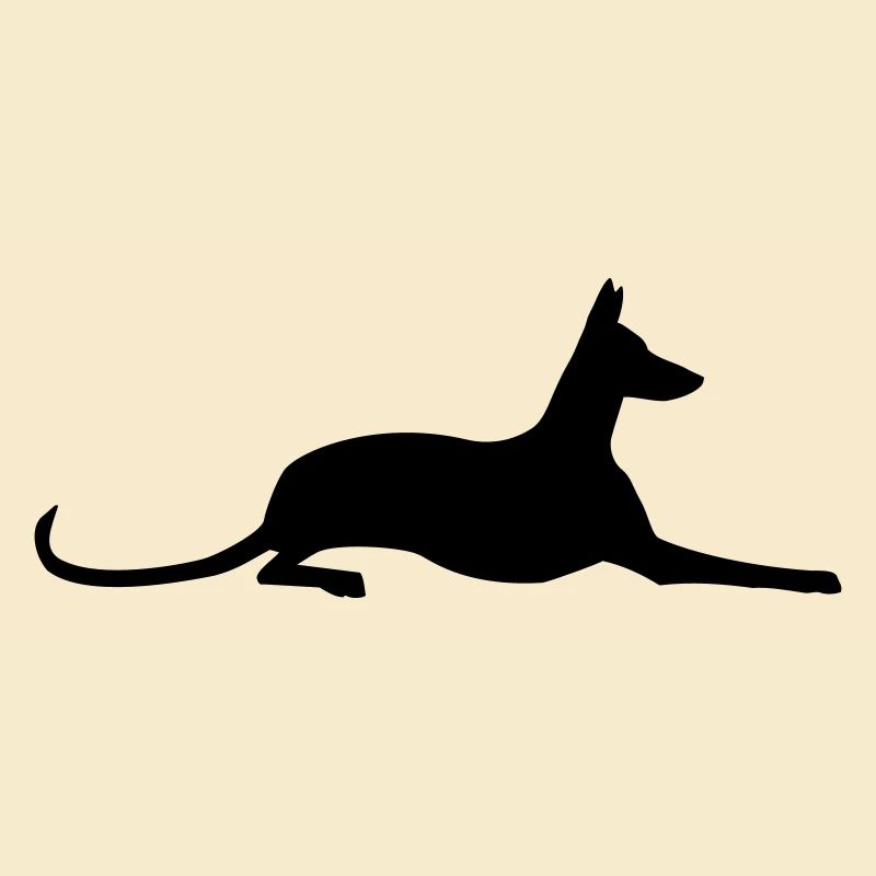 Podenco