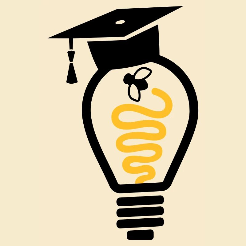 Light bulb mortarboard fly - graduation gift
