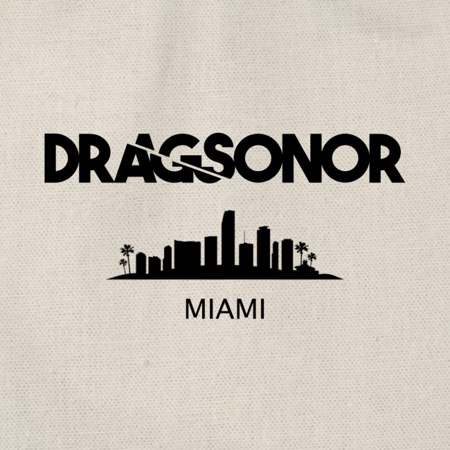 DRAGSONOR Miami skyline