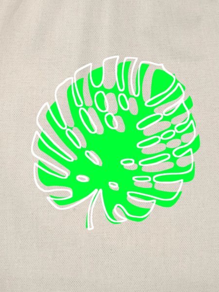 Monstera