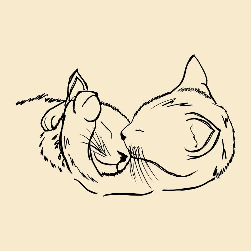 Chat - chat - chat