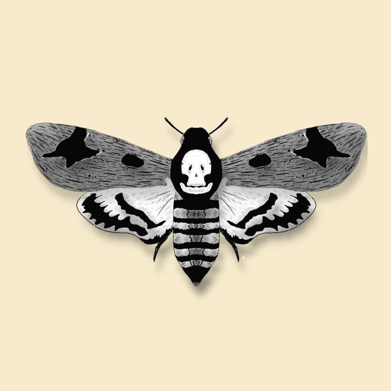 Moth