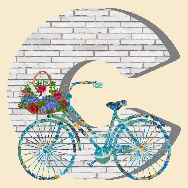 fahrrad e 100 c