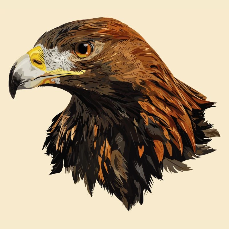 Steinadler